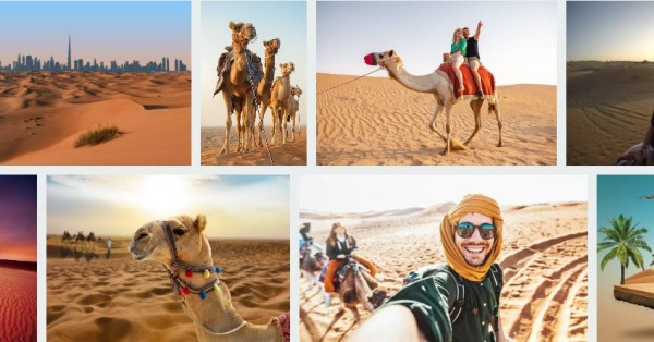 Dubai Desert Safari Booking form Image