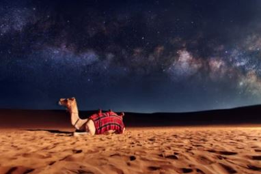 evening desert safari dubai Image